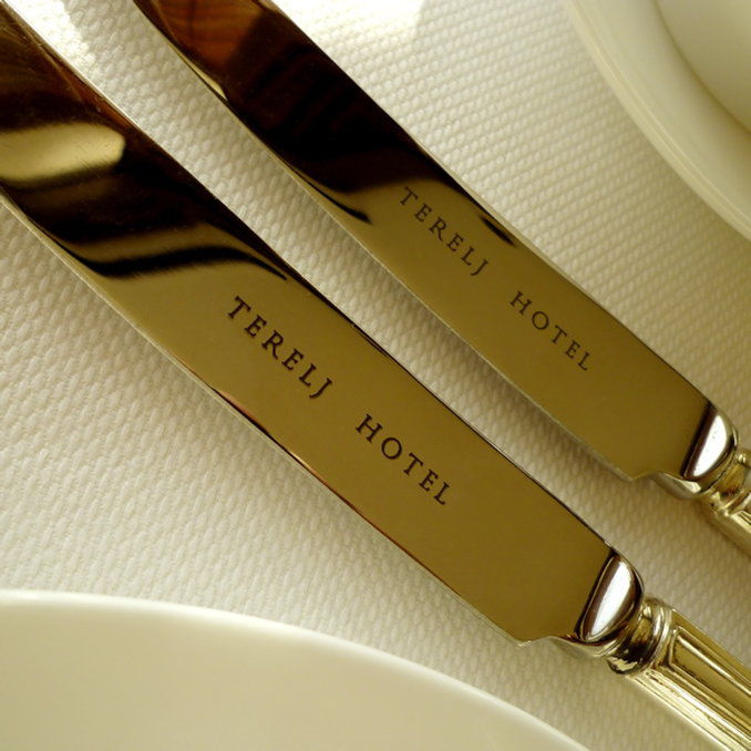 Terelj Hotel & Spa Ulan Batur Olanaklar fotoğraf